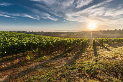 Perth To Margaret River Wine Tour - 2 Day Premium Boutique Wine Tour Experience - Accommodation Sunshine Coast 0