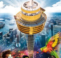 Sydney Tower Eye - Accommodation Sunshine Coast