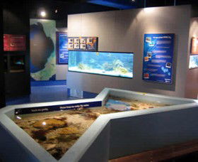 Marine And Freshwater Discovery Centre - Accommodation Sunshine Coast 0