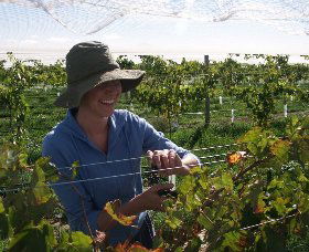 Kingsdale Wines - Accommodation Sunshine Coast 0