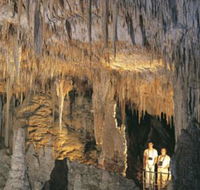 Mammoth Cave - Accommodation Sunshine Coast