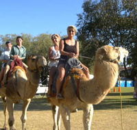 Calamunnda Camel Farm - Accommodation Sunshine Coast