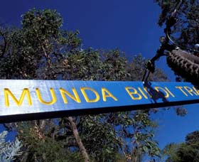 Munda Biddi Trail - Accommodation Sunshine Coast 0