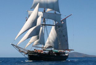Australian Tallship Cruises - Accommodation Sunshine Coast 0