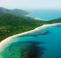 Jungle Tours and Trekking - Accommodation Sunshine Coast