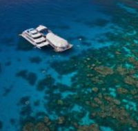 Great Adventures Reef and Green Island Cruises - Accommodation Sunshine Coast
