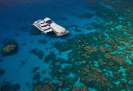 Great Adventures Reef And Green Island Cruises - Accommodation Sunshine Coast 0