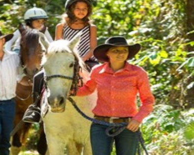 Blazing Saddles Adventures - Accommodation Sunshine Coast 0