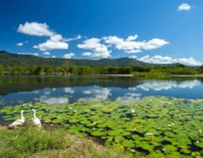 Blazing Saddles Adventures - Accommodation Sunshine Coast 1