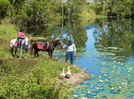 Blazing Saddles Adventures - Accommodation Sunshine Coast 2