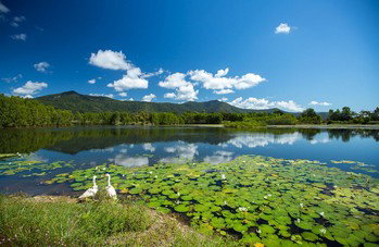 Blazing Saddles Adventures - Accommodation Sunshine Coast 3