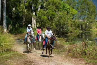 Blazing Saddles Adventures - Accommodation Sunshine Coast 4