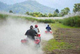 Blazing Saddles Adventures - Accommodation Sunshine Coast 5