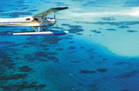Cairns Seaplanes - Accommodation Sunshine Coast 1