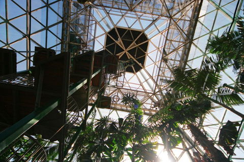 Cairns ZOOm And Wildlife Dome - Accommodation Sunshine Coast 1