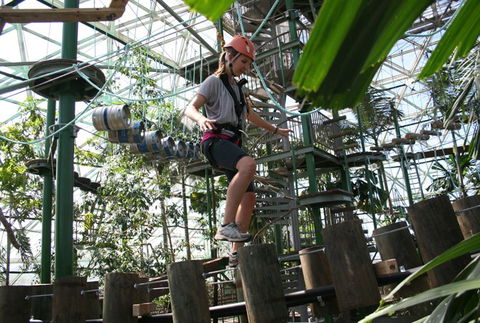 Cairns ZOOm And Wildlife Dome - Accommodation Sunshine Coast 2