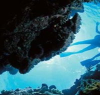 Deep Sea Divers Den - Accommodation Sunshine Coast