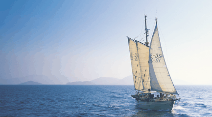 Tallship Adventures - Accommodation Sunshine Coast 0