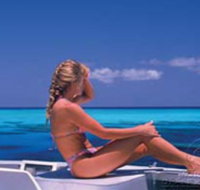 Mike Ball Dive Expeditions - Accommodation Sunshine Coast
