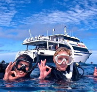 Pro Dive Cairns - Accommodation Sunshine Coast