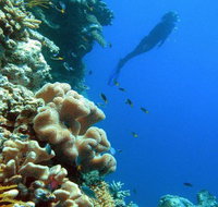 Reef Magic Cruises - Accommodation Sunshine Coast