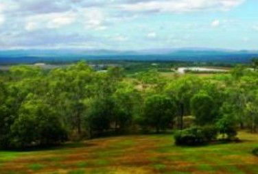 Skybury Coffee, The Australian Coffee Centre - Accommodation Sunshine Coast 1