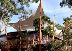 Skybury Coffee, The Australian Coffee Centre - Accommodation Sunshine Coast 2