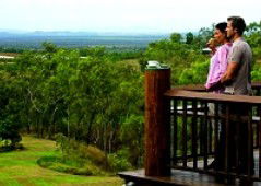 Skybury Coffee, The Australian Coffee Centre - Accommodation Sunshine Coast 4