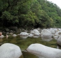 Tropical Horizons Tours - Accommodation Sunshine Coast