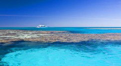 Reef Jet Cruises - Accommodation Sunshine Coast 0