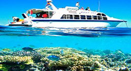Reef Jet Cruises - Accommodation Sunshine Coast 2