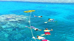 Reef Jet Cruises - Accommodation Sunshine Coast 3