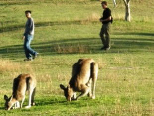 Southern Queensland Country QLD Accommodation Sunshine Coast