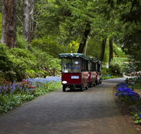 Araluen Botanic Park - Accommodation Sunshine Coast