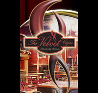 The Velvet Cigar - Accommodation Sunshine Coast