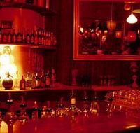 The Night Cat - Accommodation Sunshine Coast