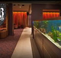 AB Hotel - Accommodation Sunshine Coast