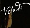 Veludo - Accommodation Sunshine Coast