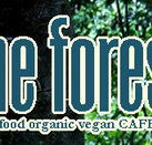 Forest Cafe  Bar - Accommodation Sunshine Coast