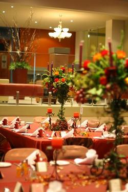 Bardwell Valley NSW Accommodation Sunshine Coast