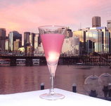 Cohibar - Accommodation Sunshine Coast