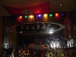 Scubar - Accommodation Sunshine Coast 1