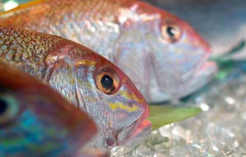 Coro Hotel - Lure Seafood Restaurant - Accommodation Sunshine Coast 0