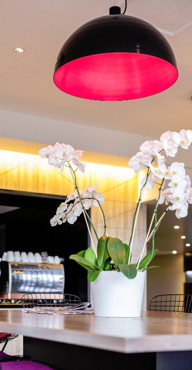 MRepublic Restaurant, Bar And Lounge - Accommodation Sunshine Coast 4