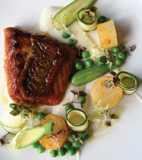 Mondo Organics Restaurant - Accommodation Sunshine Coast 5