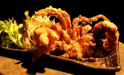 O'Sushi Japanese Restaurant - Accommodation Sunshine Coast 3