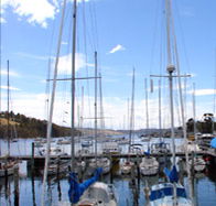 Oyster Cove Inn - Accommodation Sunshine Coast