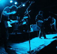 Fly By Night Musicians Club - Accommodation Sunshine Coast