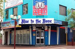 Blue To The Bone  - Accommodation Sunshine Coast 0