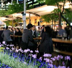 Quay Bar - Accommodation Sunshine Coast 0